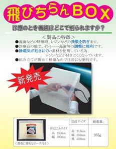 株式会社アイディエス