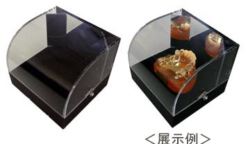 歯科補綴物展示ケース
